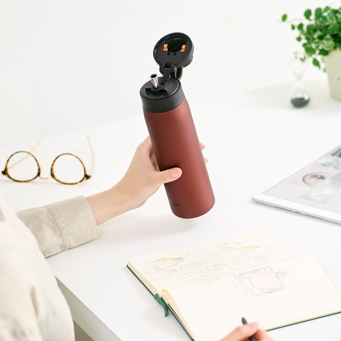 Stainless Steel Straw Bottle MCS-A050